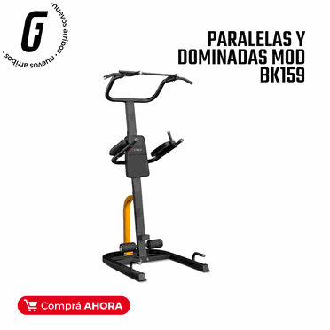 nuevo arribo