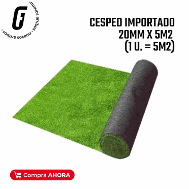 nuevo arribo