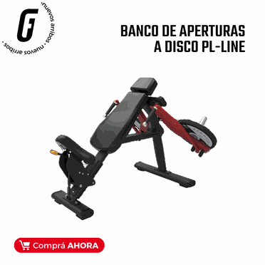 nuevo arribo