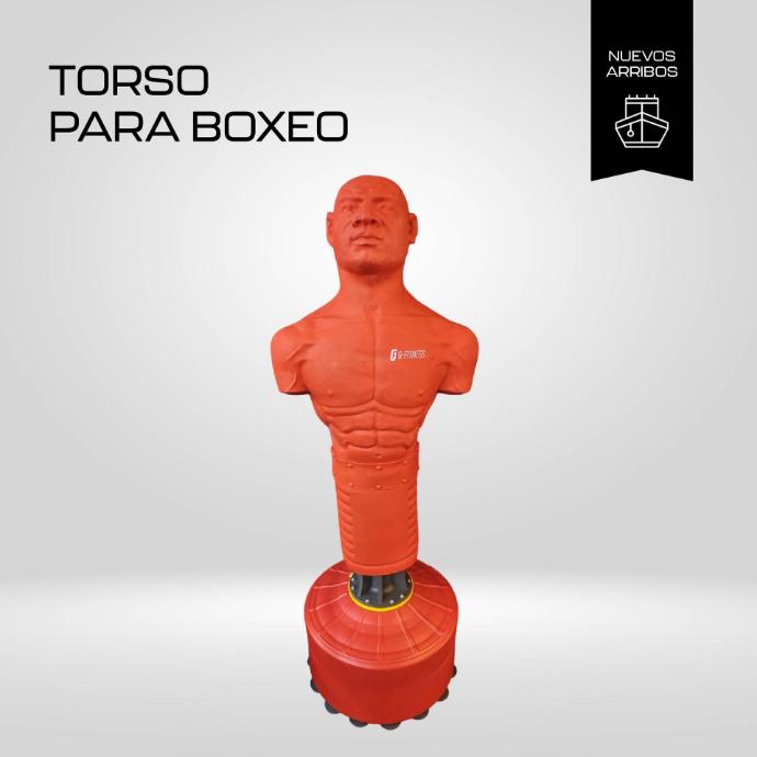 ¡Llegó! Conocé la nueva Torso para Boxeo