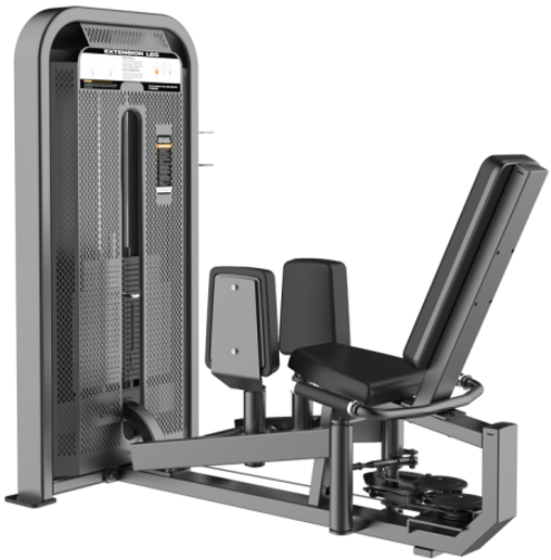 Máquina de abductor aductor E5089 OUTLET