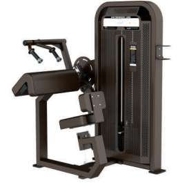 Extension de Triceps. FUSION LINE