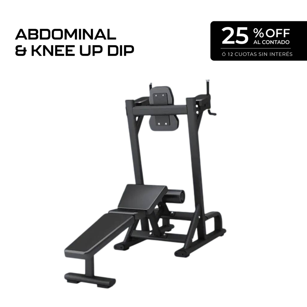 Abdominal & Knee Up dip