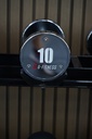 Mancuerna cromada con logo G-Fitness 10KG