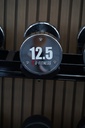 Mancuerna cromada con logo G-Fitness 12.5KG