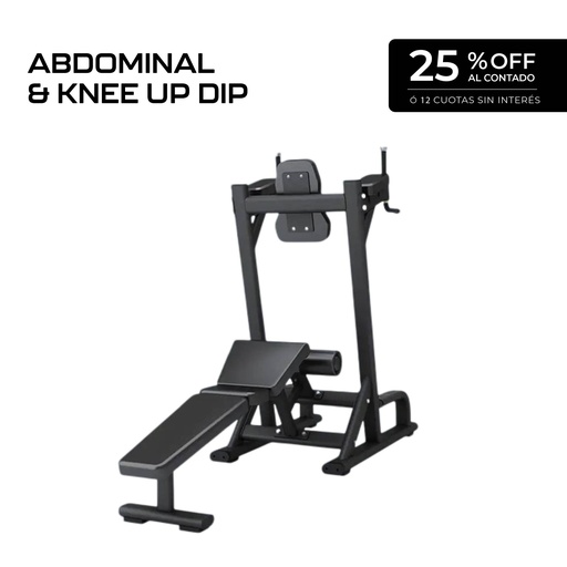 [Mnd-PL35] Abdominal & Knee Up dip