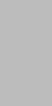 [OVL1632X43] PIEDRA SINTERIZADA PURE GREY - MATT 3,20x1,6x12mm - P002