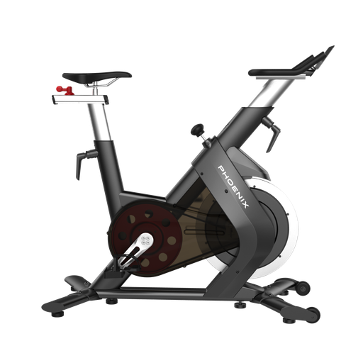 [S210] Bicicleta Fija Profesional - S210